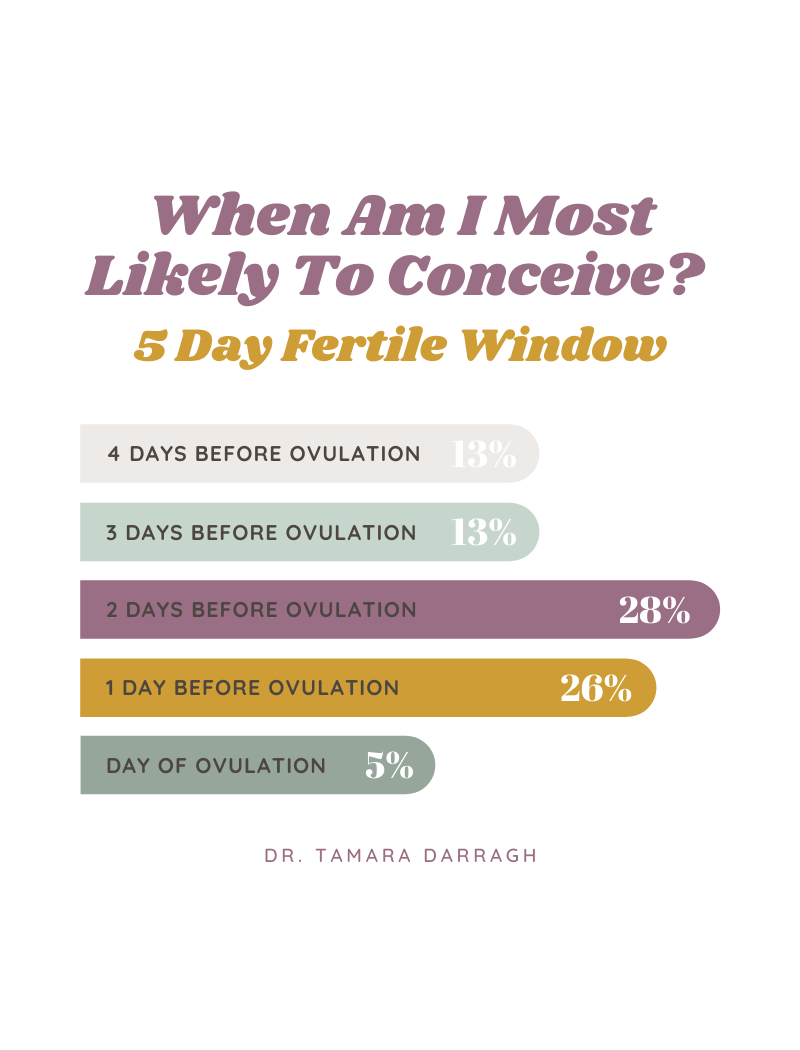 When Am I Most Likely To Conceive?, Fertility Window